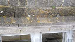 acastle 142000.jpg